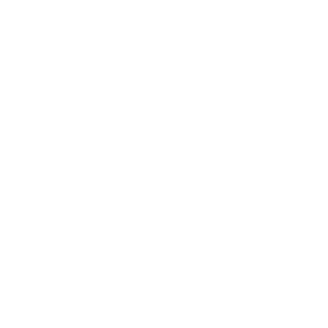 Number Porting